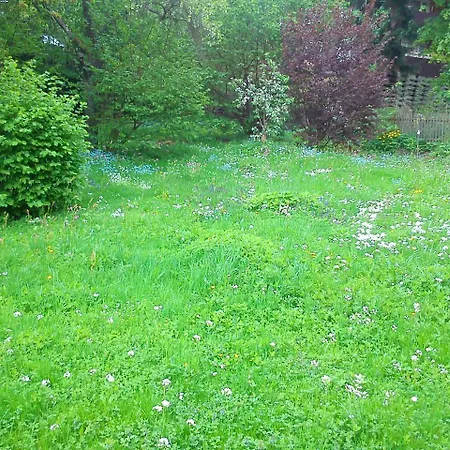 Landhaus * Lautenthal