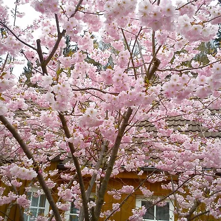 Landhaus Apartamento *