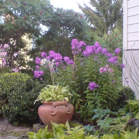 דירה Landhaus Lautenthal