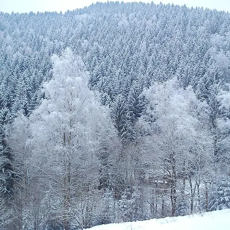Landhaus Daire *